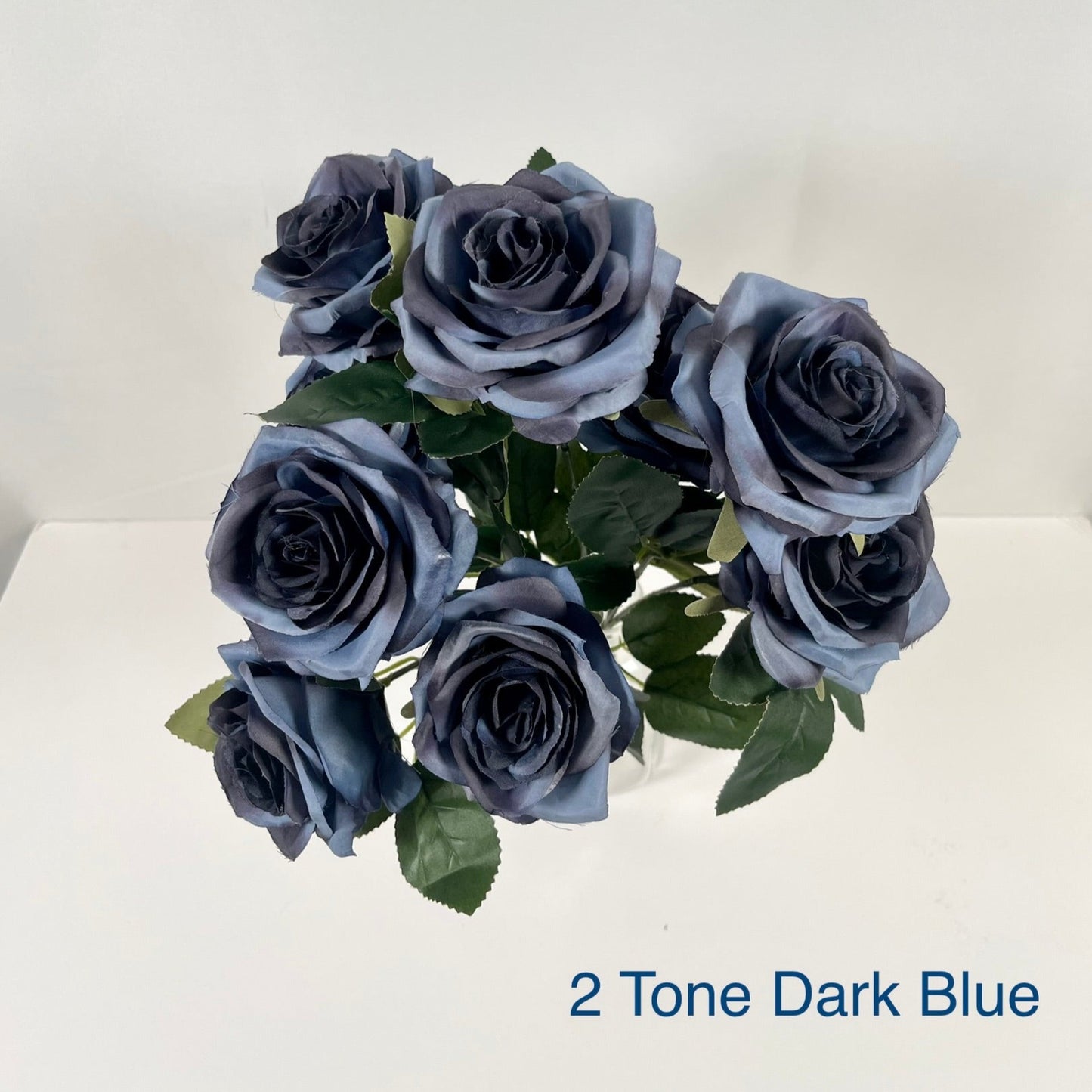 2 Tone Dark Blue Rose Bush 10 Heads Close Up Image by 7CirclesUSA