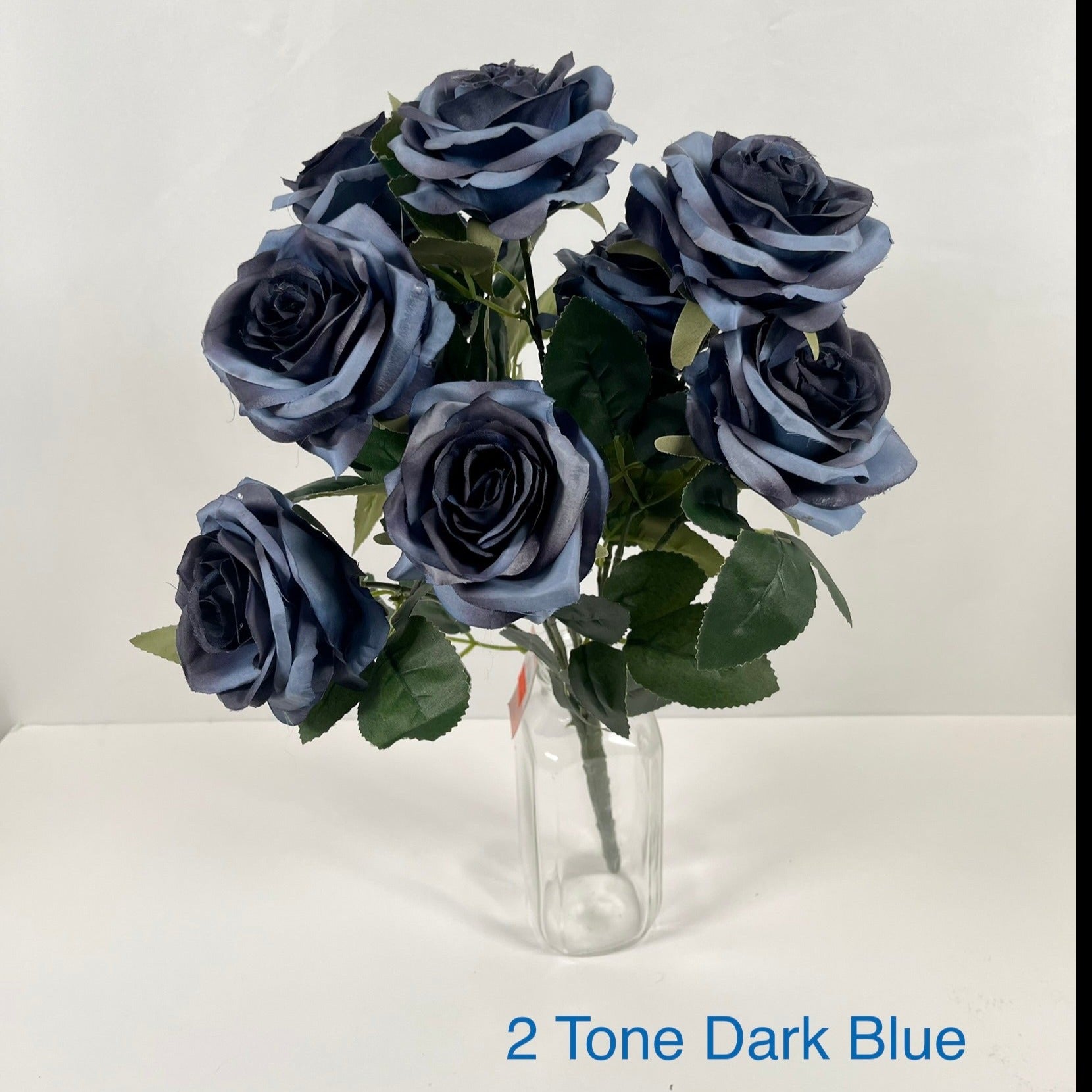 2 Tone Dark Blue Rose Bush 10 Heads Front Image by 7CirclesUSA