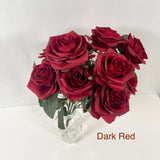 Dark Red Roses 10 Heads Front image by 7CirclesUSA