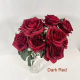 Dark Red Roses 10 Heads Close up image by 7CirclesUSA