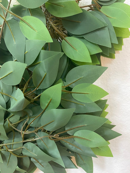 Ficus Leaves 12 branches in pack back image by 7CirclesUSA