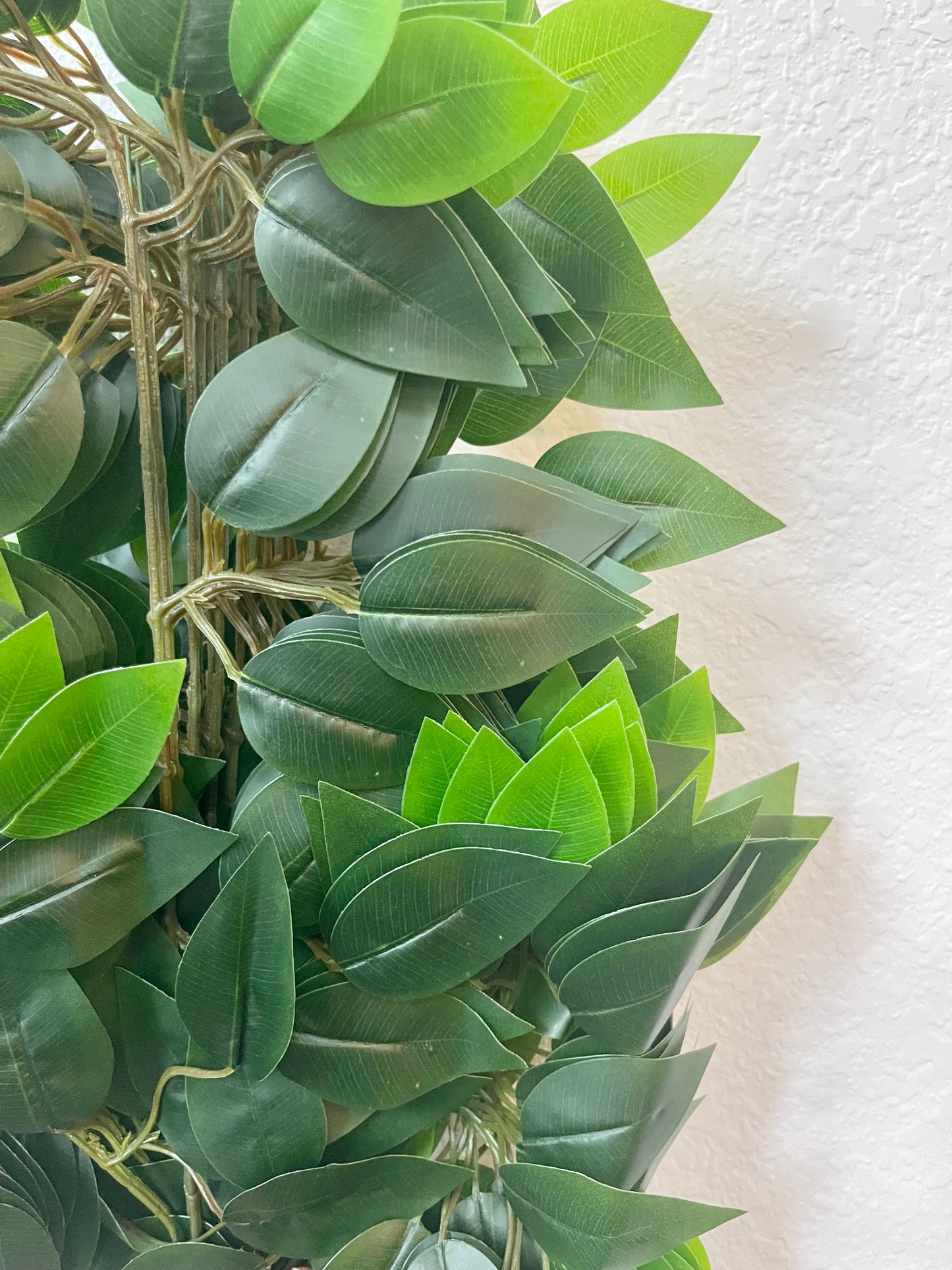 Ficus Leaves 12 branches in pack Closeup image by 7CirclesUSA