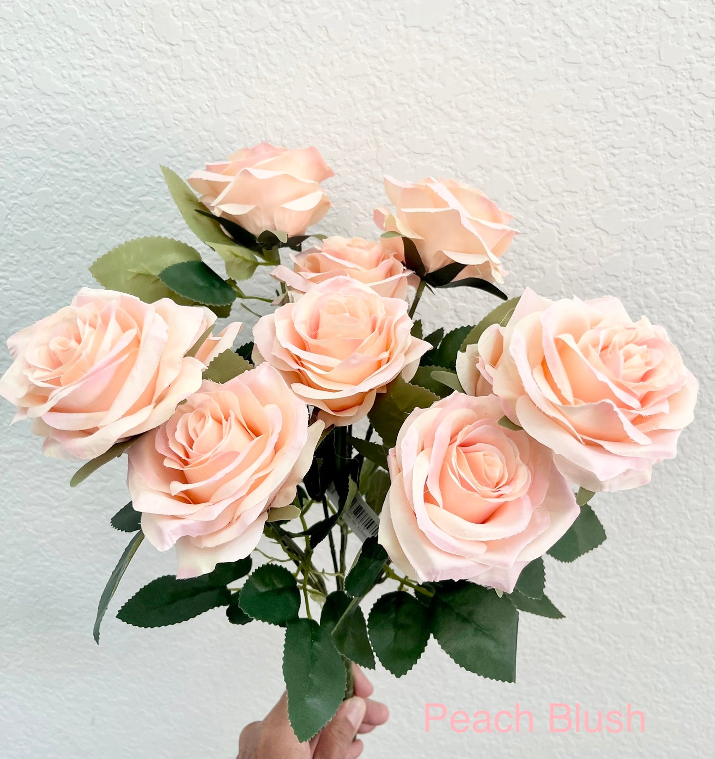 Peach blush Rose Bush with 10 Heads from www.7circlesusa.com