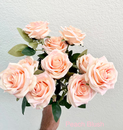 Peach blush Rose Bush with 10 Heads C from www.7circlesusa.com