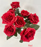 Red Rose Bush 10 Heads Close Up Image by 7CirclesUSA