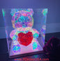 Led light up Bear with Heart for Valentines day